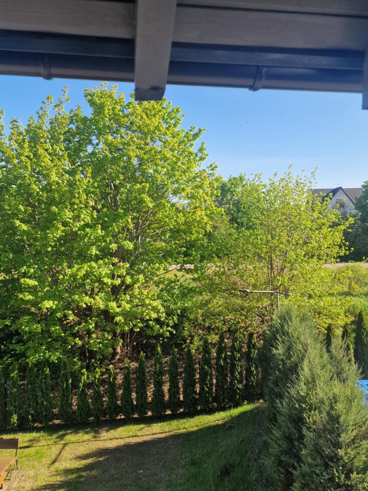 Apartamenty Mazury Мронгово Экстерьер фото